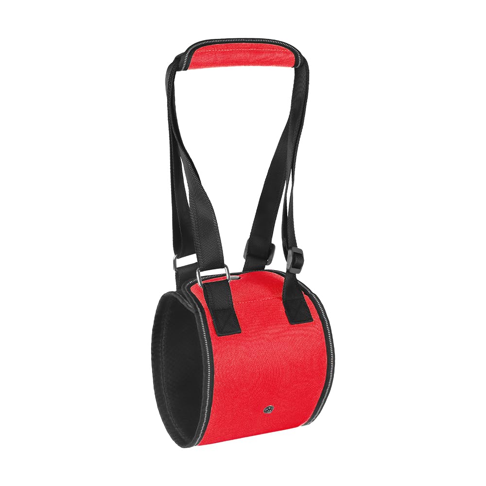 Harnesses & Wheelchairs