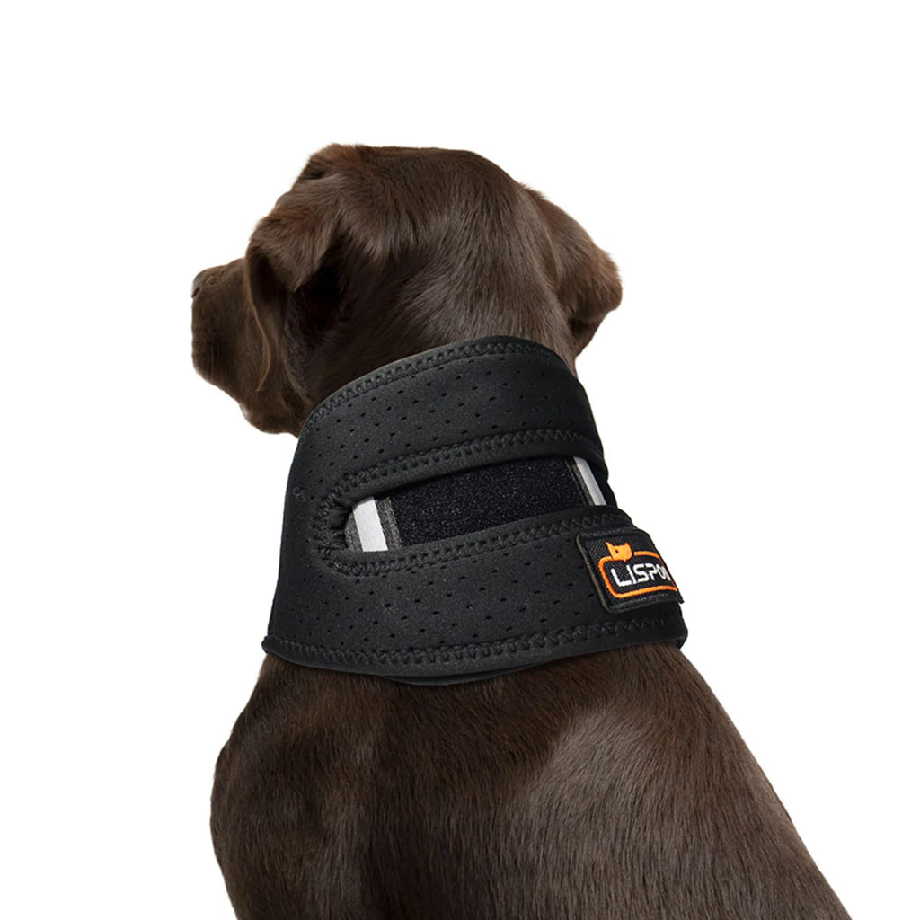 GraySnout Cervical Neck Brace for Dogs