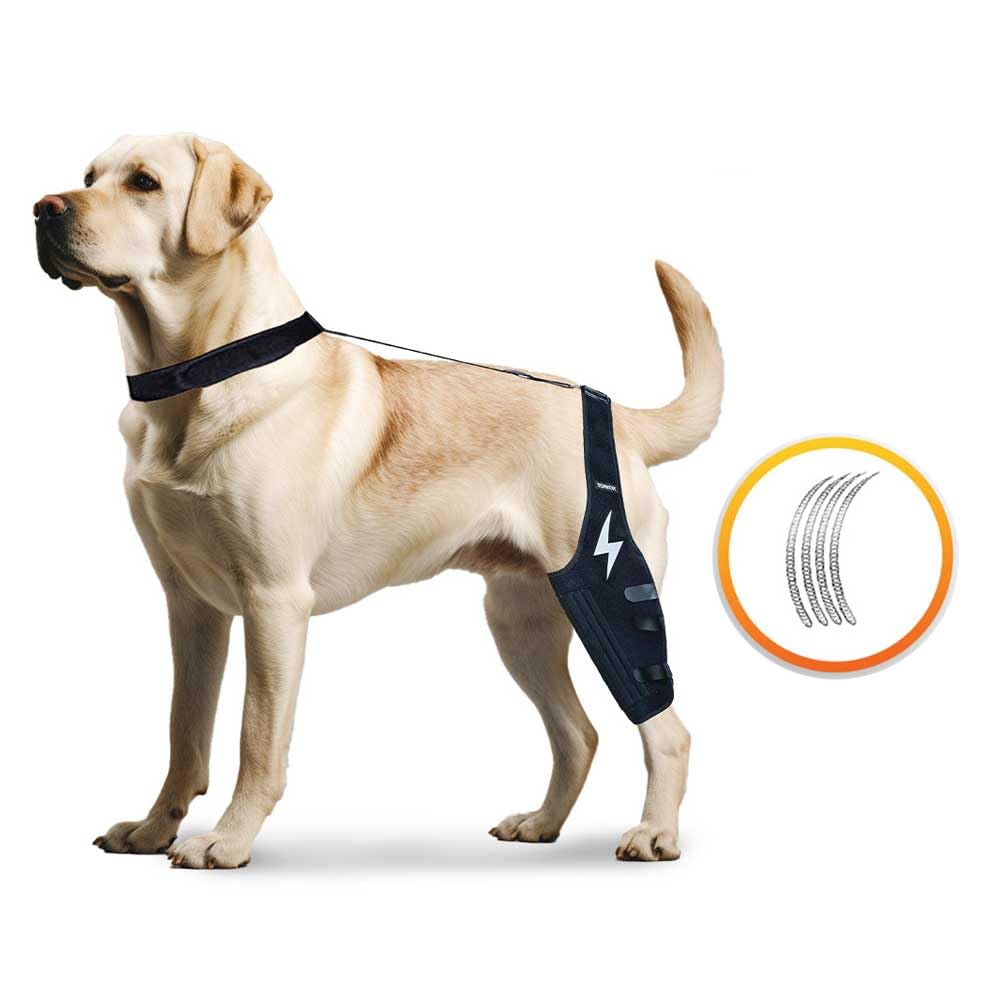 GraySnout Dog Knee Brace — ACL, CCL & Joint Support