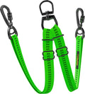 GraySnout Dual Dog Leash — Tangle-Free Double Walker