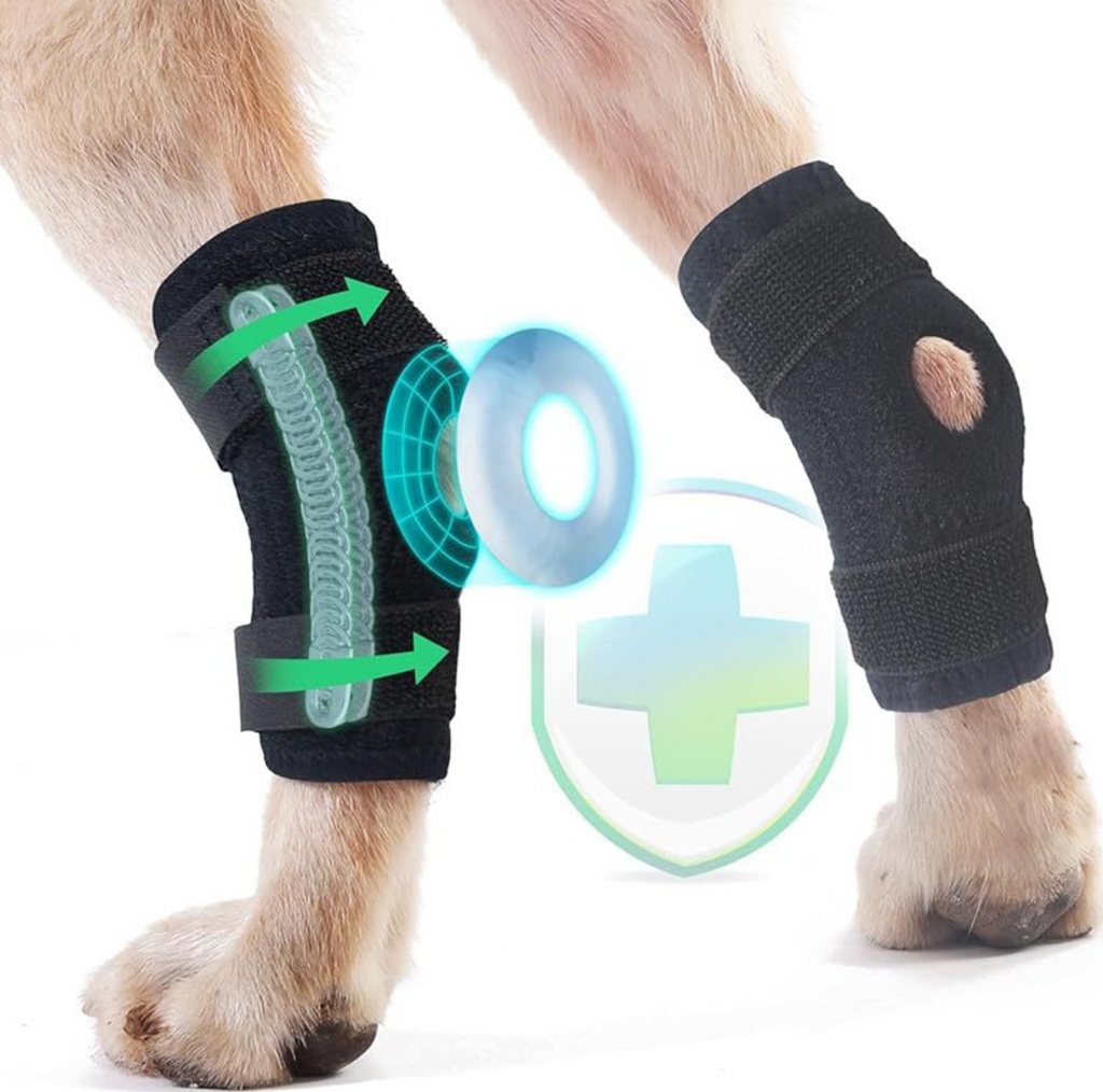 Dog Rear Leg Support Strap