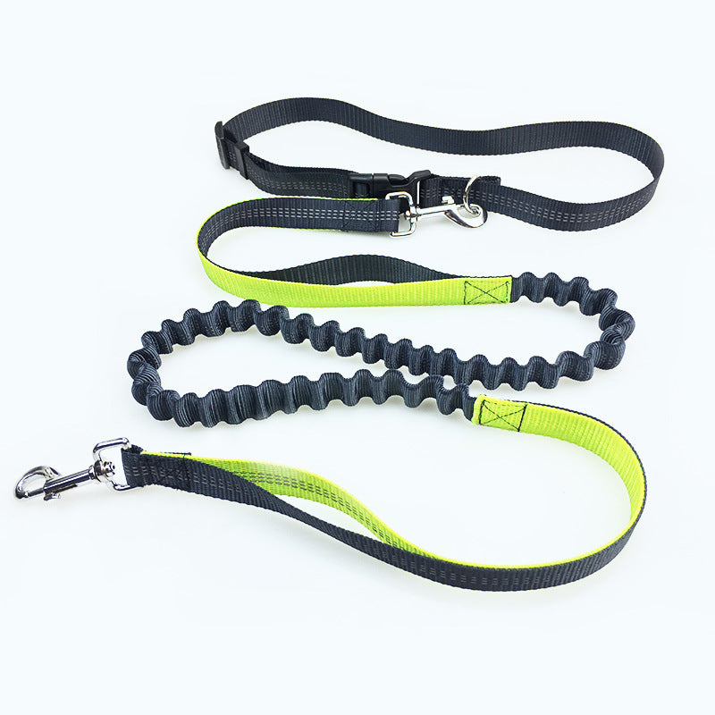 GraySnout Hands-Free Running Leash with Waist Belt