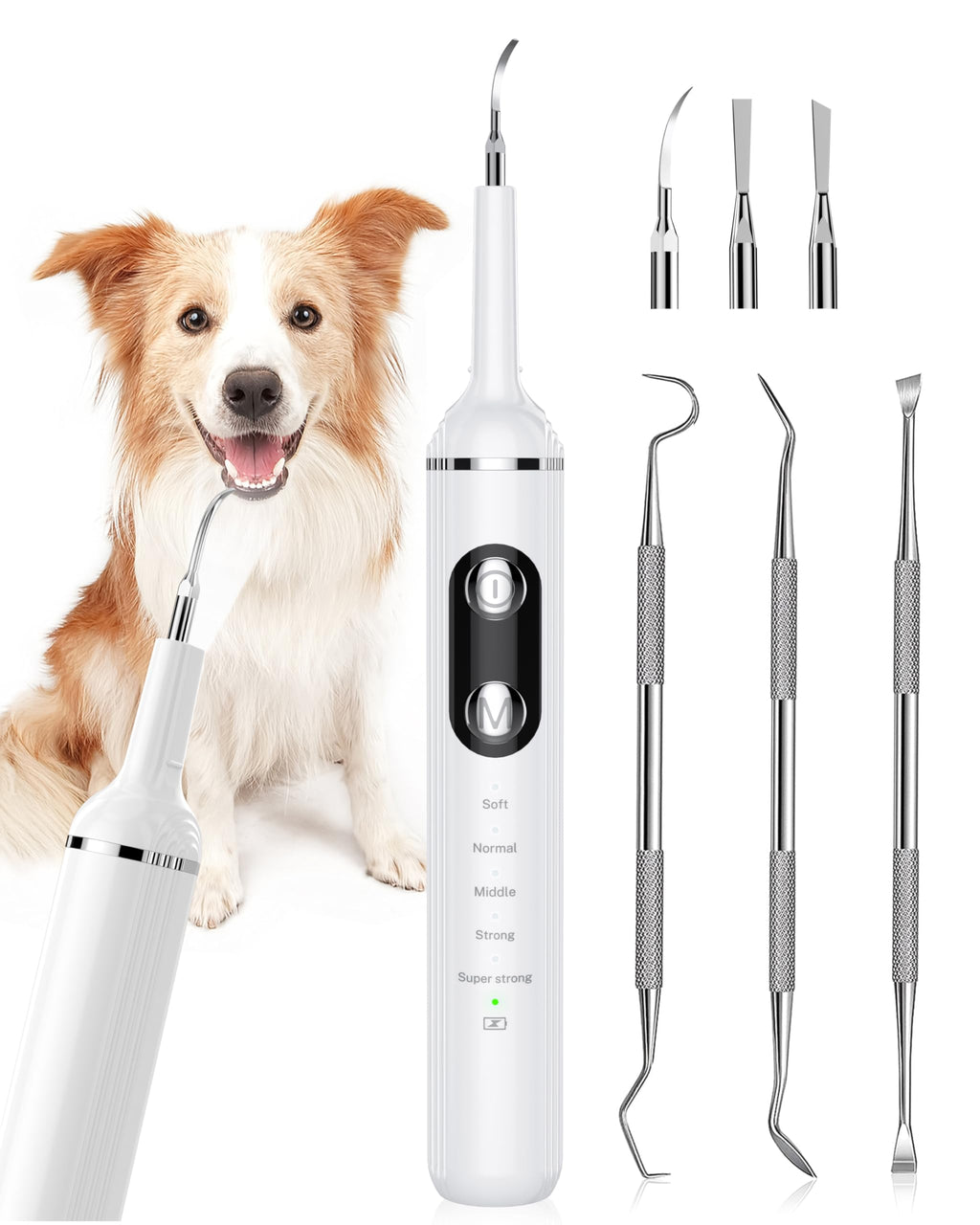 GraySnout LED Plaque Removal & Dental Care Kit