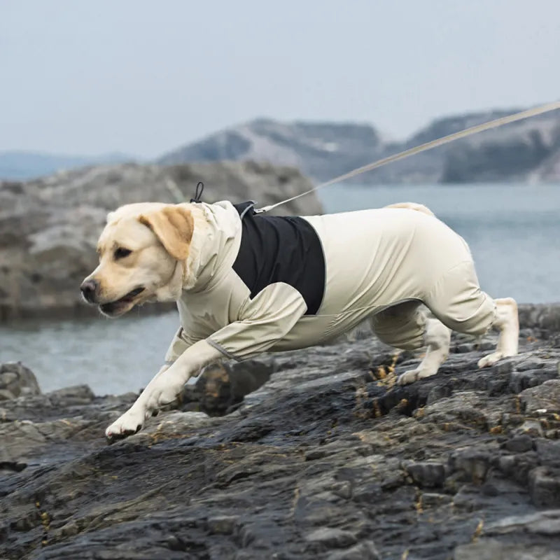 GraySnout Waterproof Dog Shell Jacket (4-Leg Coverage)