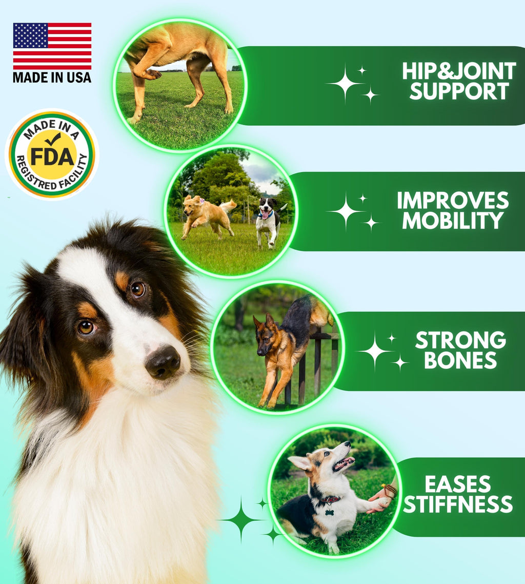 GraySnout Hip & Joint Supplement Chews for Dogs — 120 Count