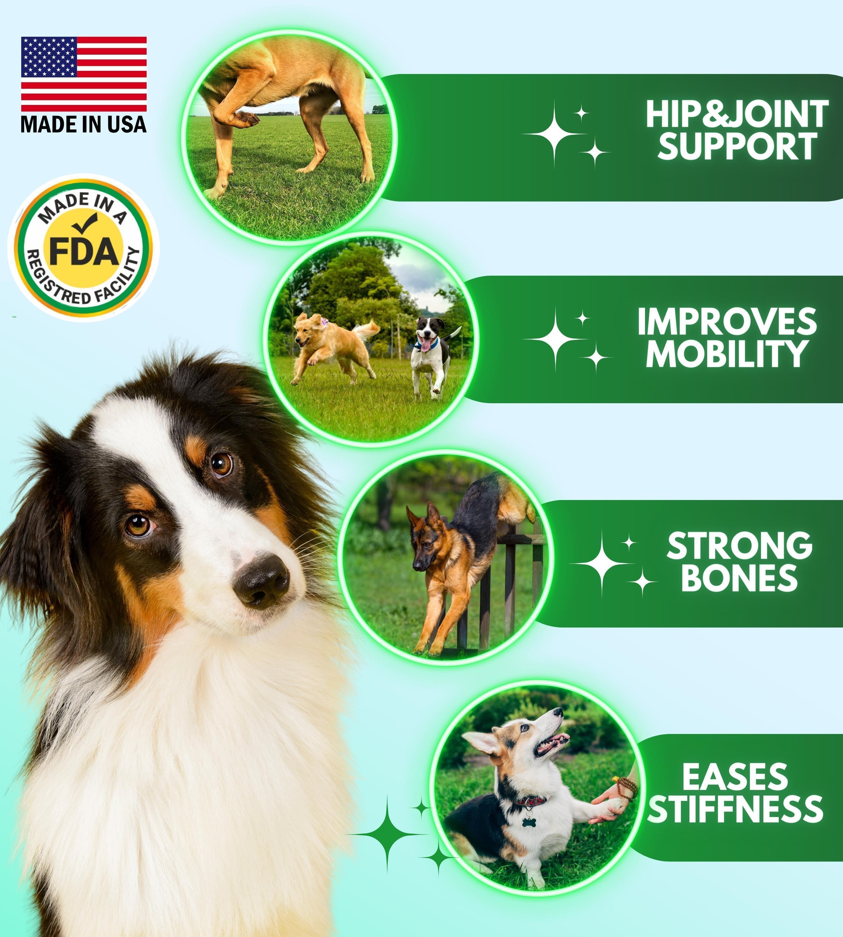 GraySnout Hip & Joint Supplement Chews for Dogs — 120 Count