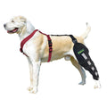 KISFLY Dog Leg Braces for Back Leg Luxating Patella Muscle Sore Joint Pain Dog Knee Brace for Torn ACL Hind Leg with Reflective Support Strip Left Leg M