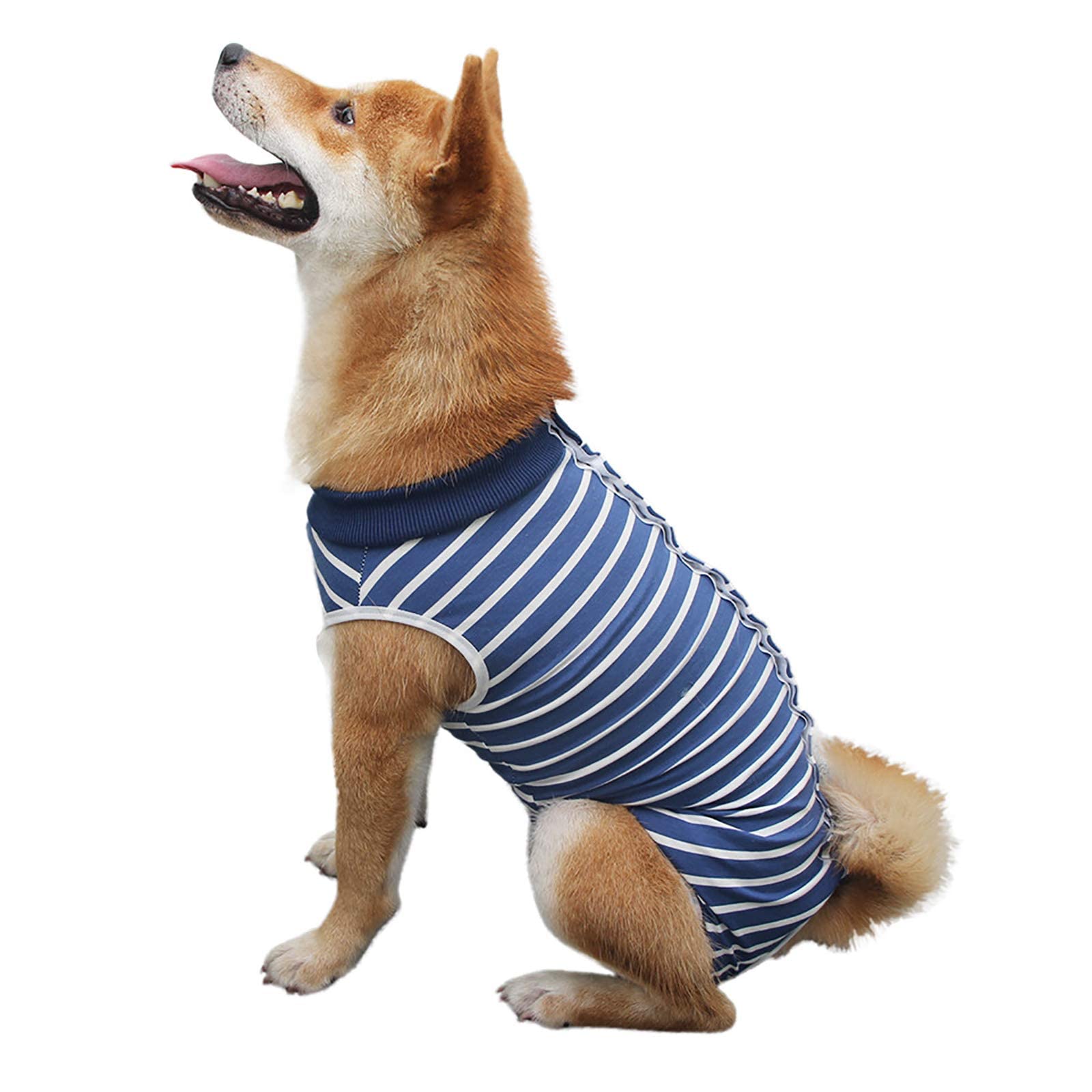 GraySnout Post-Surgery Recovery Suit for Dogs