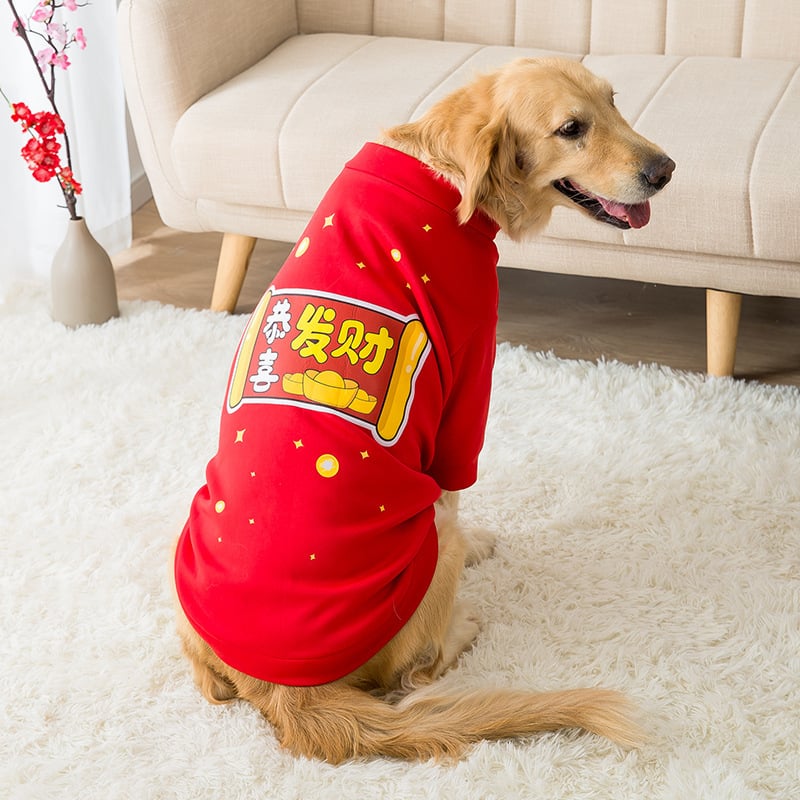 GraySnout Classic Dog Vest — Durable Multi-Size Apparel