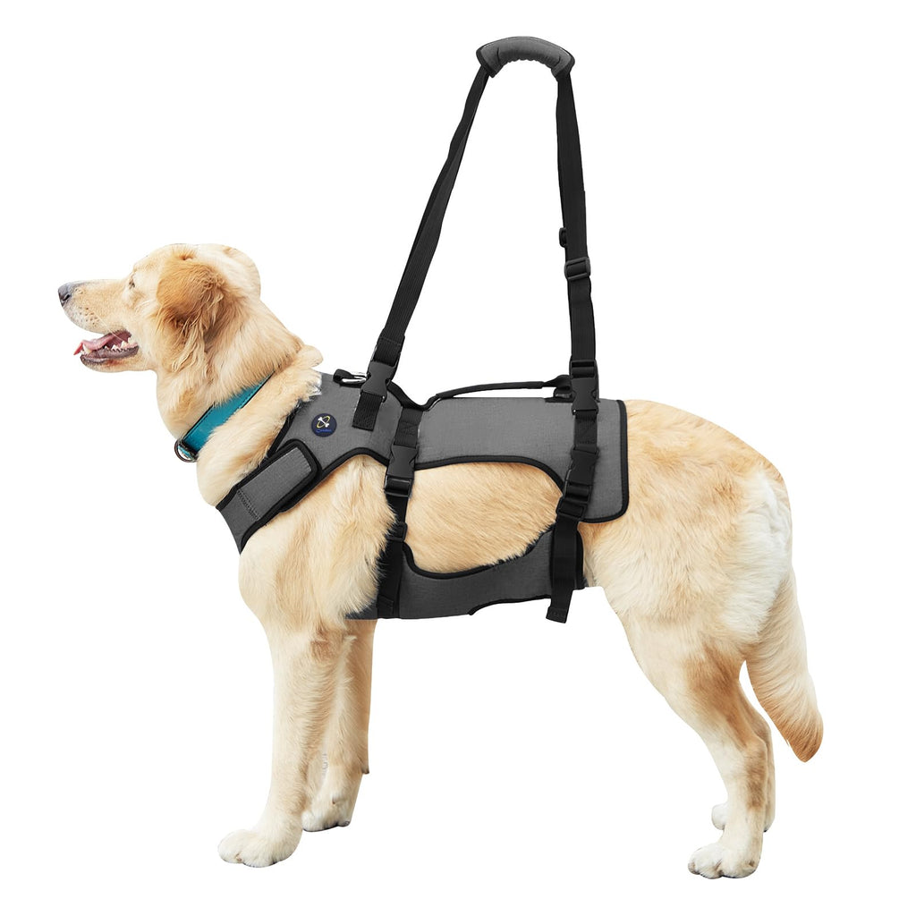 Coodeo Dog Lift Harness Support & Recovery Sling Pet Rehabilitation Lifts Vest Adjustable Breathable Straps for Old Disabled Joint Injuries Arthritis Paralysis Dogs Walk (XXLarge)