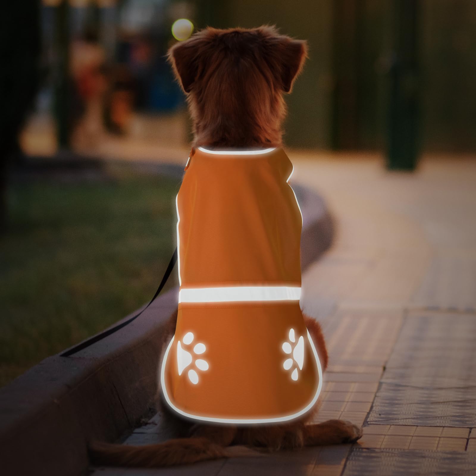 GraySnout Reflective Safety Vest — High-Visibility Night Walks