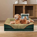 GraySnout Orthopedic Dog Sofa Bed with Pillow — Memory Foam (30x20")