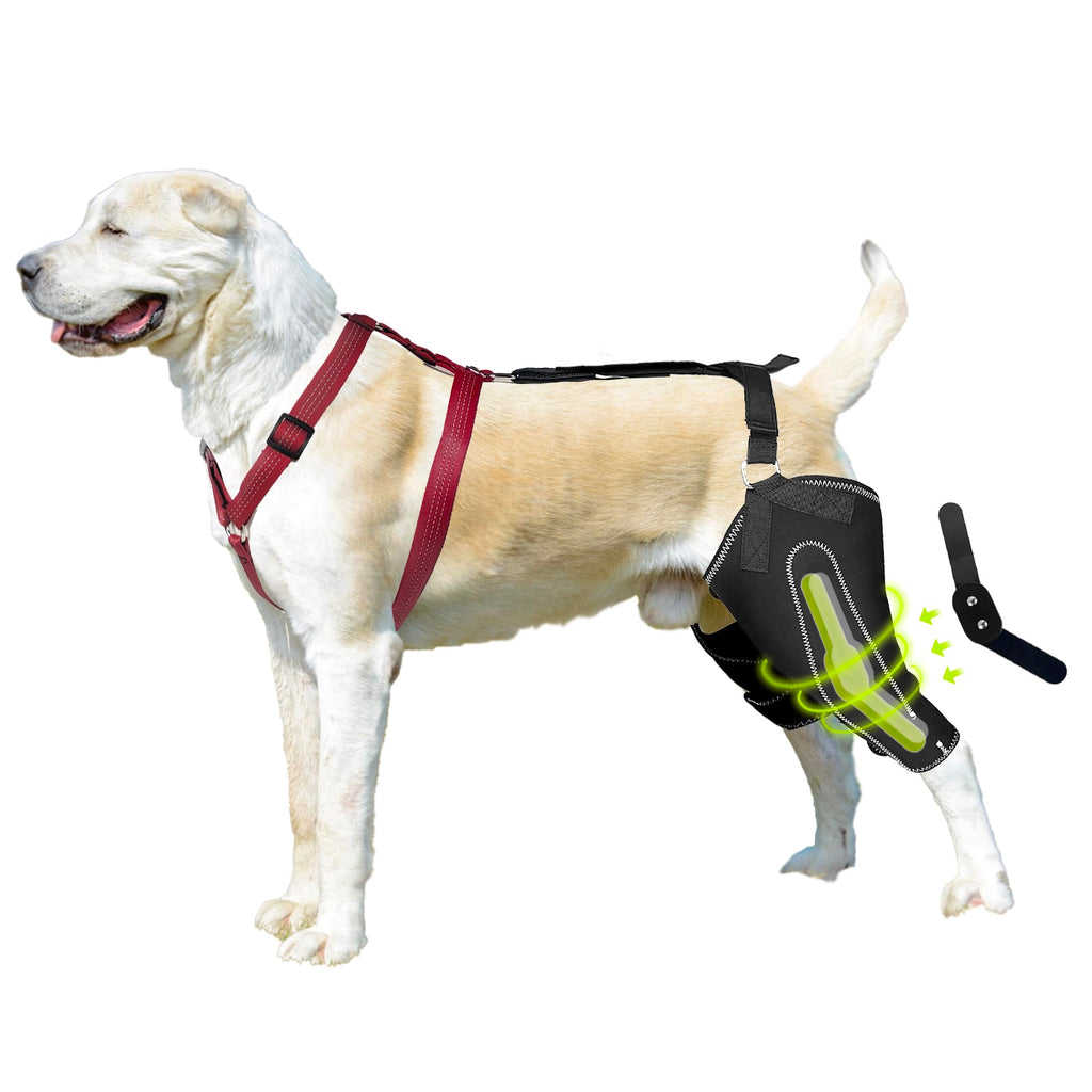 GraySnout Metal-Hinged Dog ACL Brace — Hind Leg Recovery Support