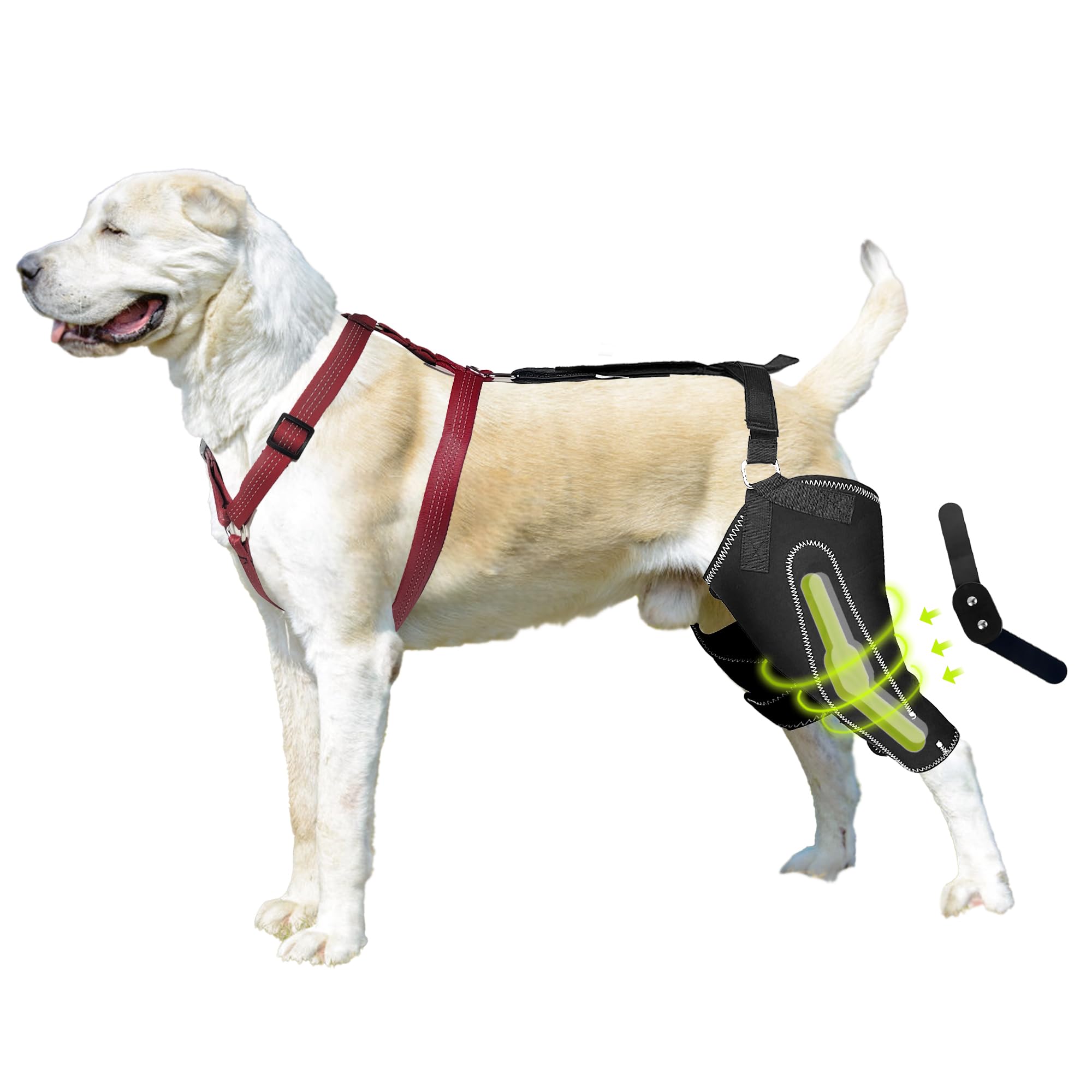 GraySnout Metal-Hinged Dog ACL Brace — Hind Leg Recovery Support