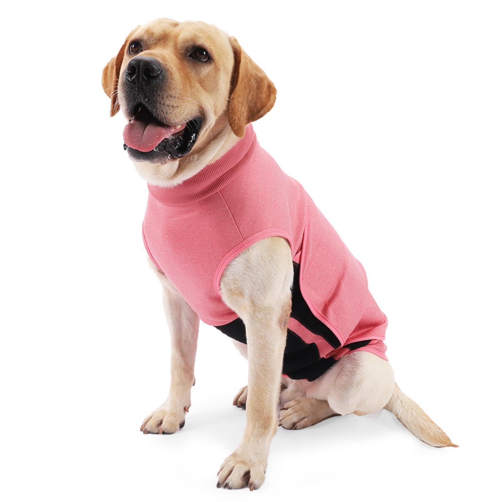 GraySnout Thunder Calming Vest for Dogs — Anxiety Relief Coat