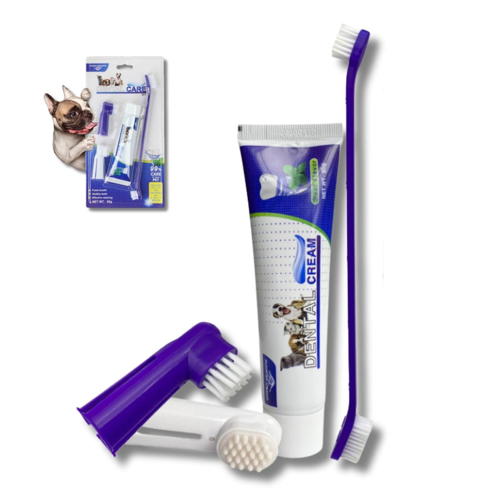 GraySnout Complete Dog Dental Care Fresh Breath Kit