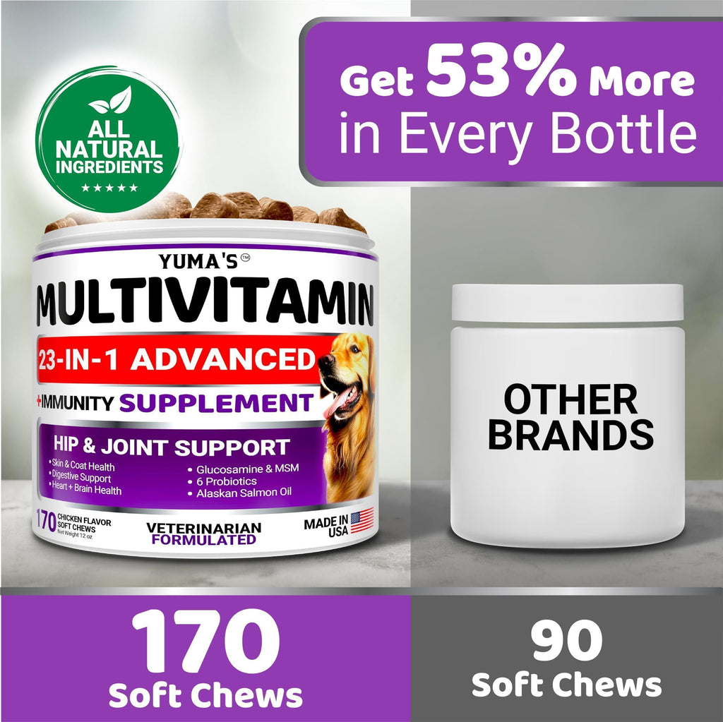 GraySnout 23-in-1 Senior Multivitamin Chews — 170 Treat Count