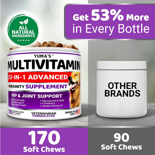GraySnout 23-in-1 Senior Multivitamin Chews — 170 Treat Count