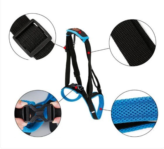 GraySnout Dog Leg Walking Support Strap
