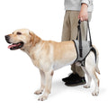 JOHNBOLIN Dog Lift Harness Dog Sling with Padded Hind Leg Support to Help Rehabilitate Helps Senior Injured Disabled and After ACL Surgery Dogs (Grey Large)