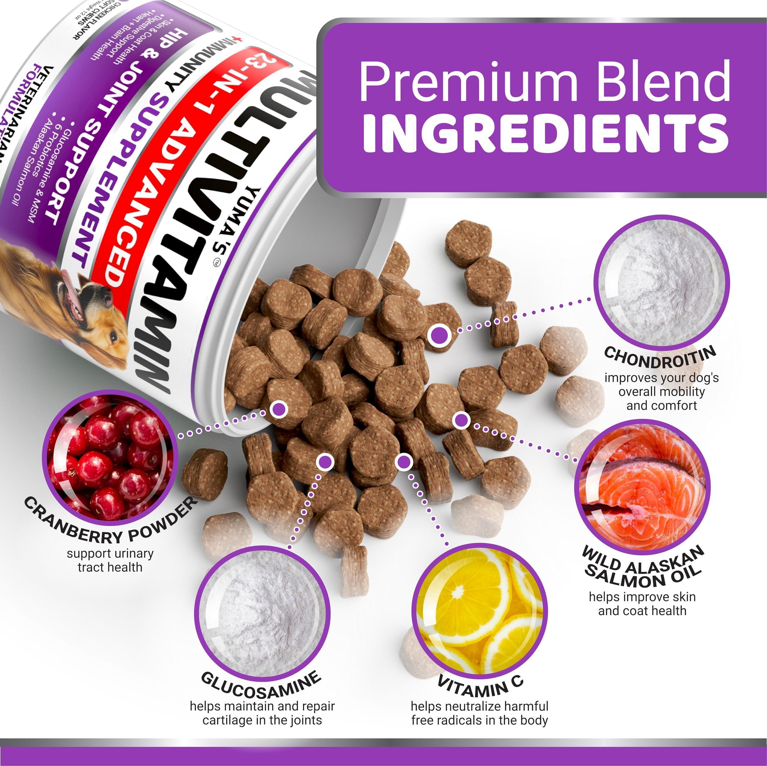 GraySnout 23-in-1 Senior Multivitamin Chews — 170 Treat Count
