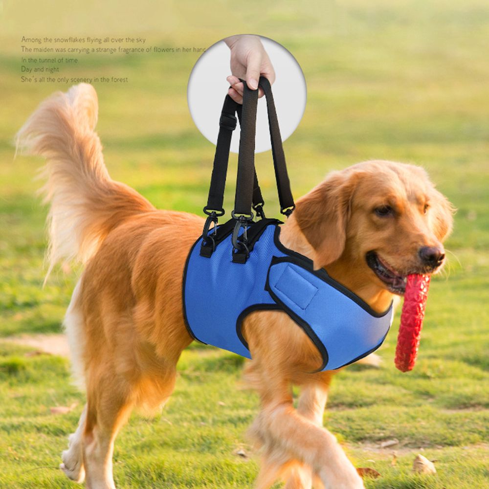 GraySnout Senior Dog Rehabilitation Training Belt