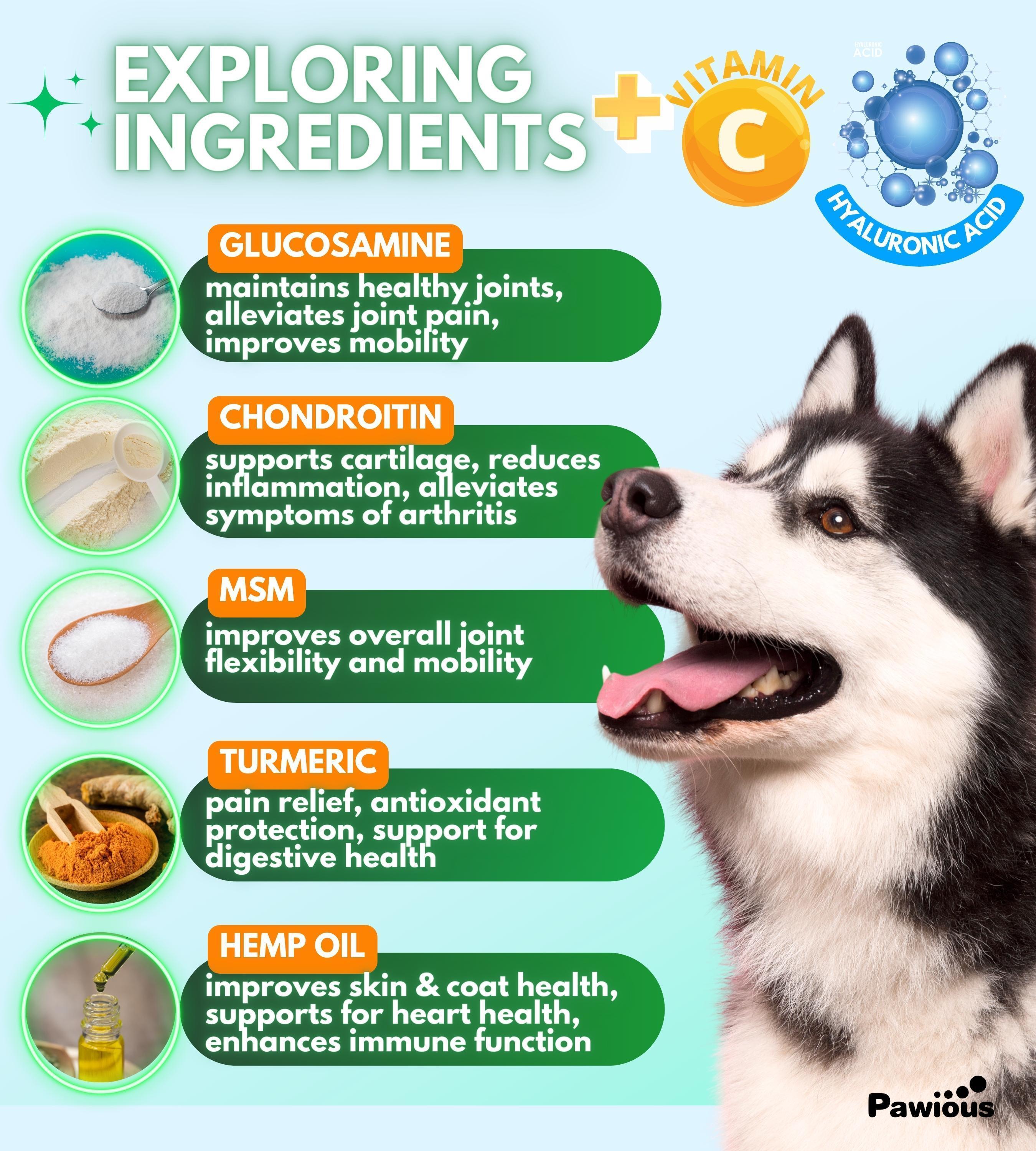 GraySnout Hip & Joint Supplement Chews for Dogs — 120 Count