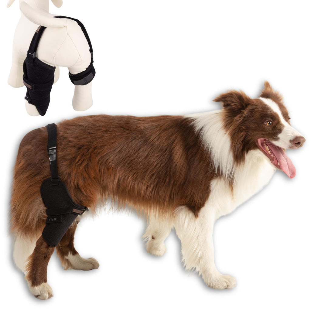 GraySnout Dog Leg Brace — Hock & Knee Support for Senior Dogs