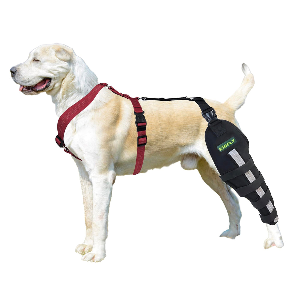 KISFLY Dog Leg Braces for Back Leg Luxating Patella Muscle Sore Joint Pain Dog Knee Brace for Torn ACL Hind Leg with Reflective Support Strip Left Leg M