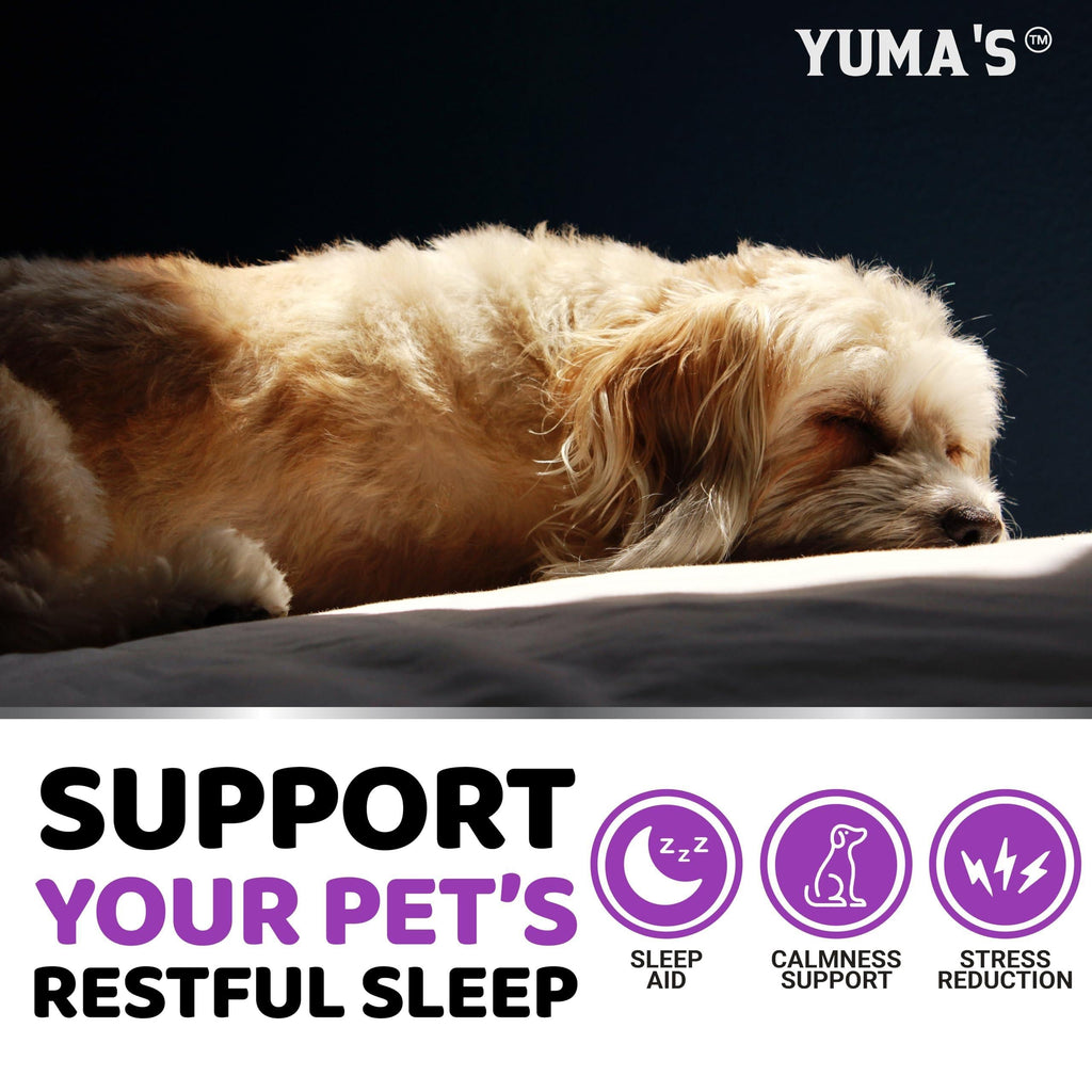 GraySnout Melatonin Calming Chews for Dogs (170ct)
