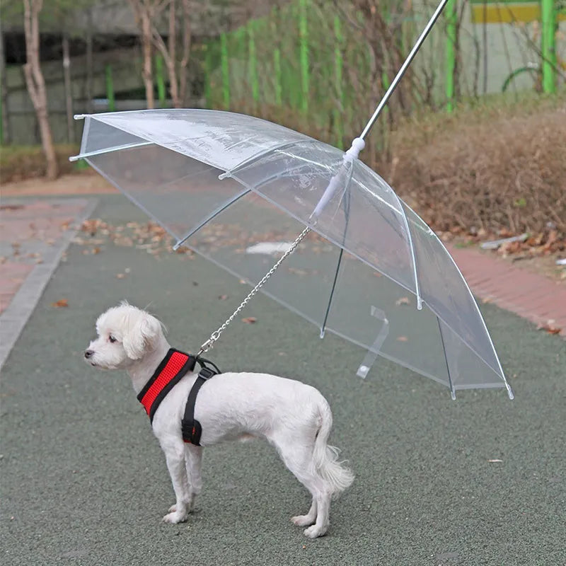 GraySnout Puppy Raincoat with Built-In Leash