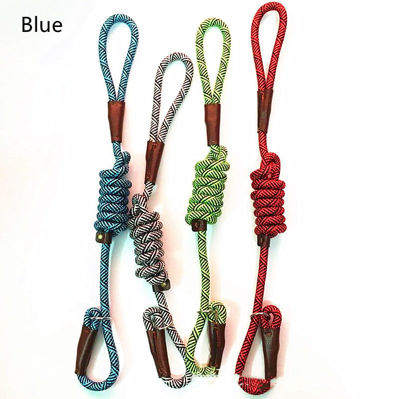GraySnout Classic Nylon Dog Leash
