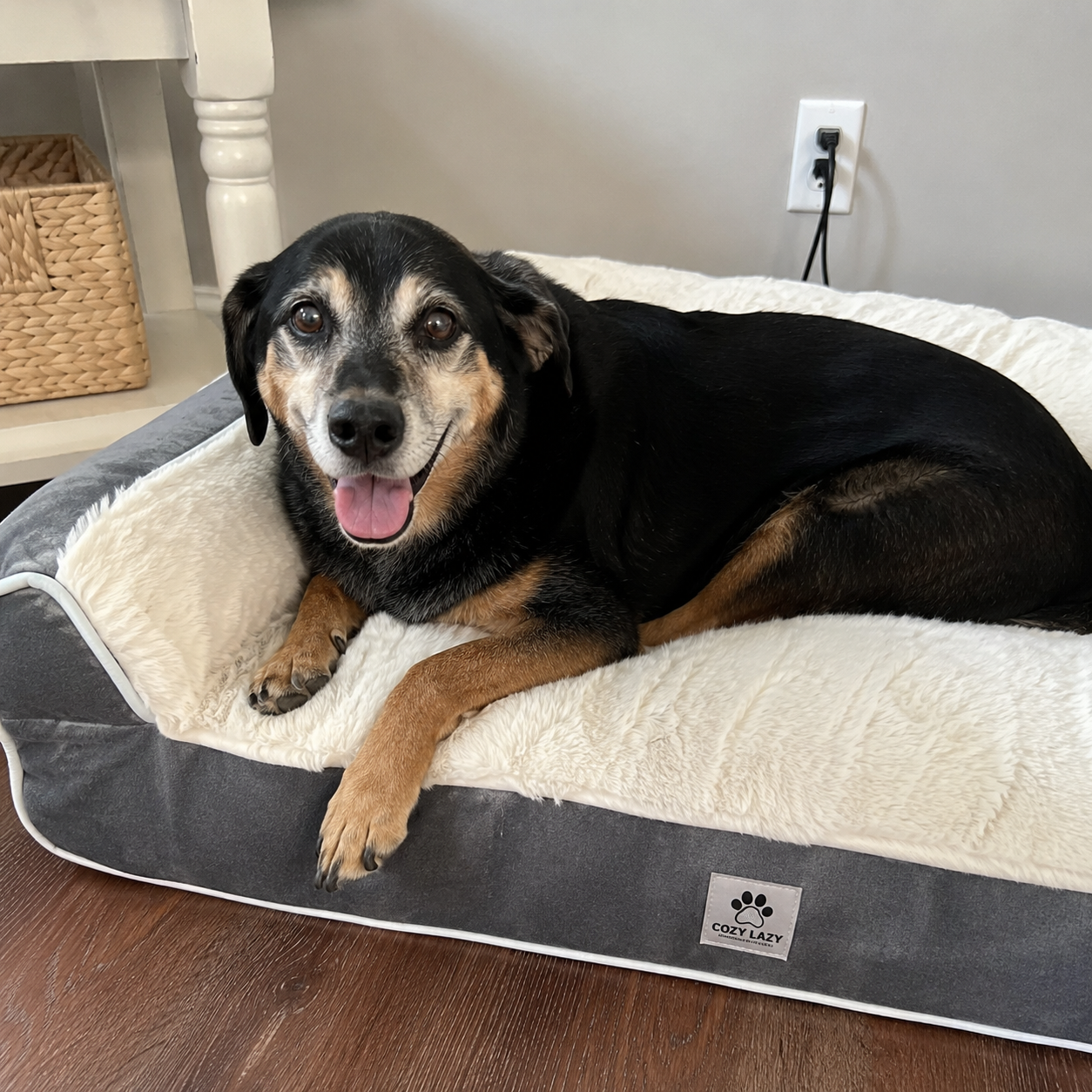 Senior dog relaxing on GraySnout orthopedic bolster dog bed