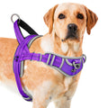 GraySnout No-Pull Reflective Harness — Front Clip Training Vest