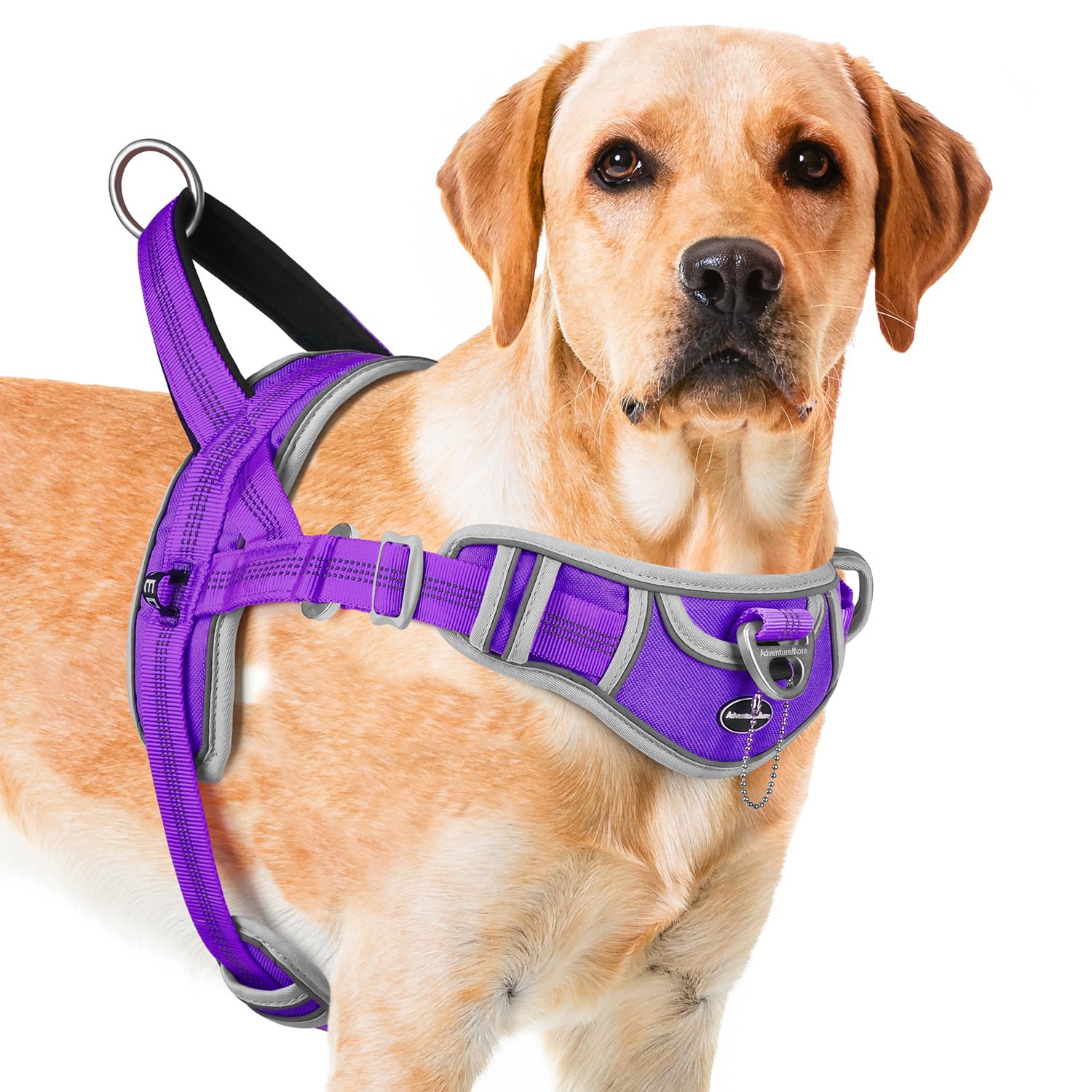 GraySnout No-Pull Reflective Harness — Front Clip Training Vest