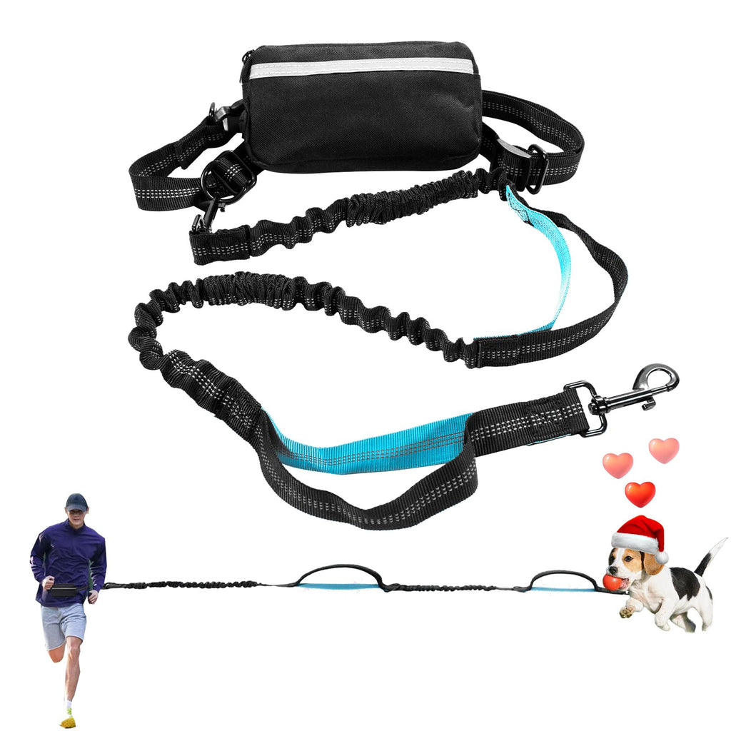 GraySnout Hands-Free Running Leash with Zipper Pouch