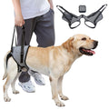 GraySnout Padded Rear Lift Harness for Medium-Large Dogs — XL