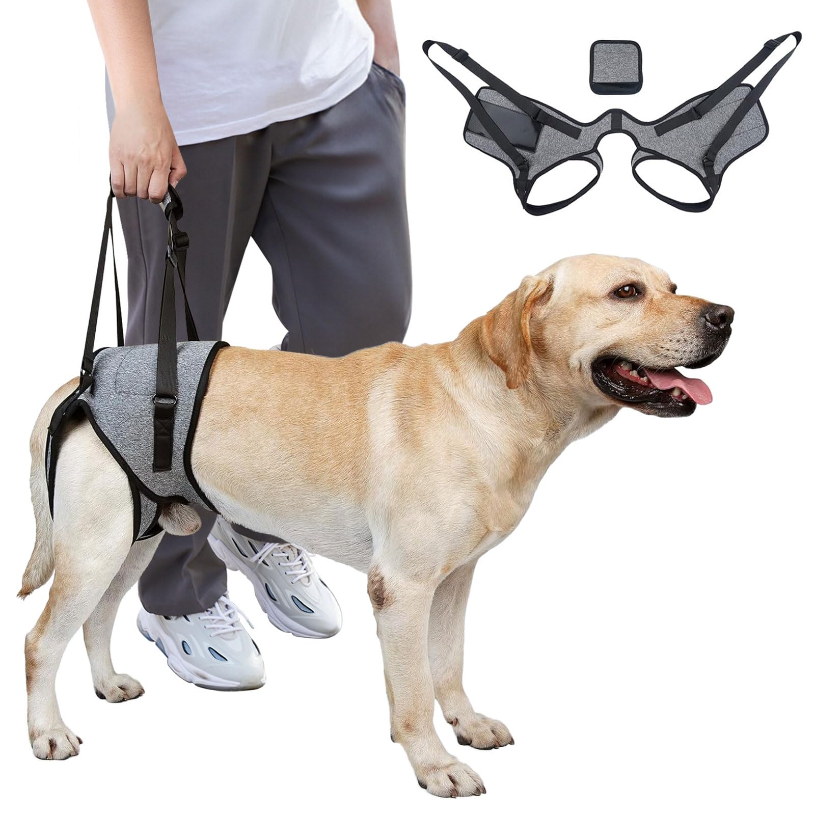 GraySnout Padded Rear Lift Harness for Medium-Large Dogs — XL