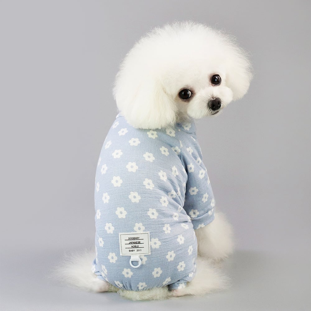 GraySnout Daisy Dog Pants — Four-Leg Spring & Summer
