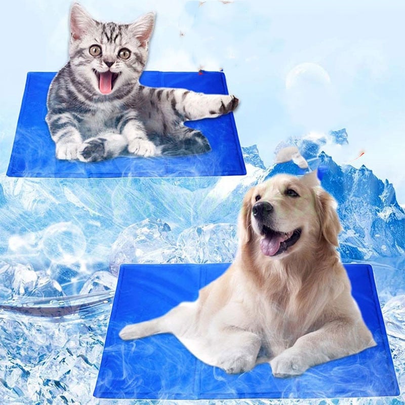 GraySnout Gel Cooling Pad — Pressure-Activated Summer Relief Mat