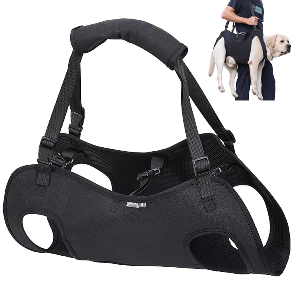GraySnout Dog Lift Harness with Emergency Backpack — Medium