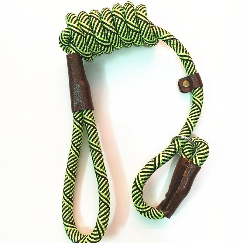 GraySnout Classic Nylon Dog Leash