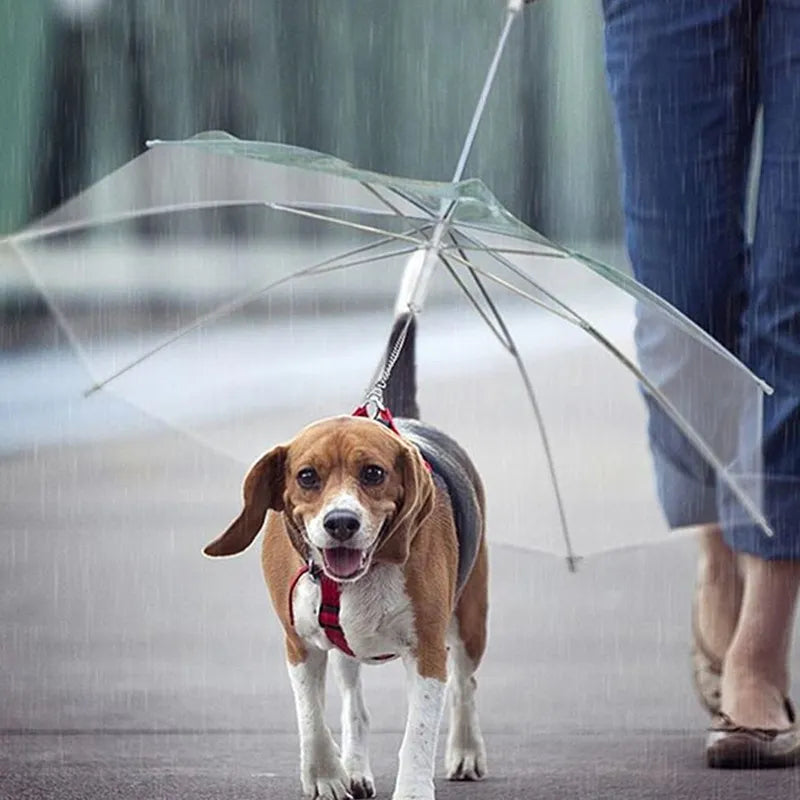 GraySnout Puppy Raincoat with Built-In Leash