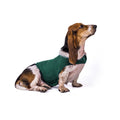 GraySnout Anxiety Relief Calming Jacket for Dogs
