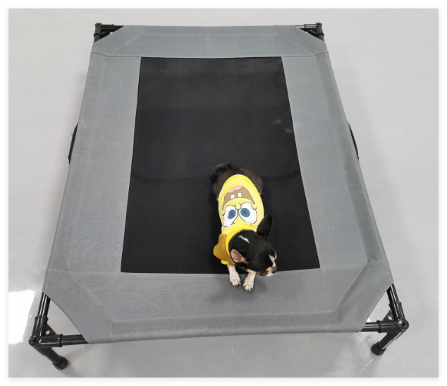 GraySnout Elevated Outdoor Dog Cot Bed — Large