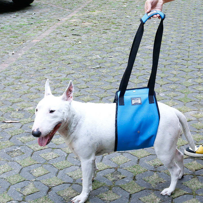 GraySnout Dog Leg Injury Support Walking Belt