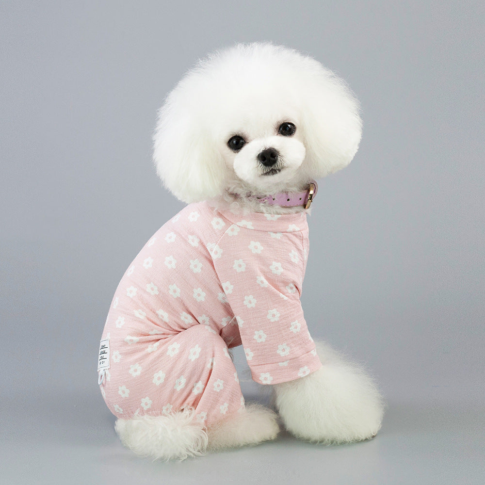 GraySnout Daisy Dog Pants — Four-Leg Spring & Summer