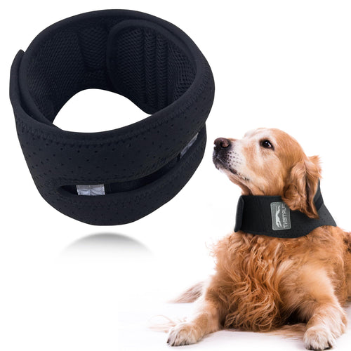 GraySnout Adjustable Neck Recovery Brace for Dogs
