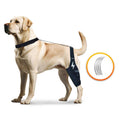 GraySnout Dog Knee Brace — ACL, CCL & Joint Support