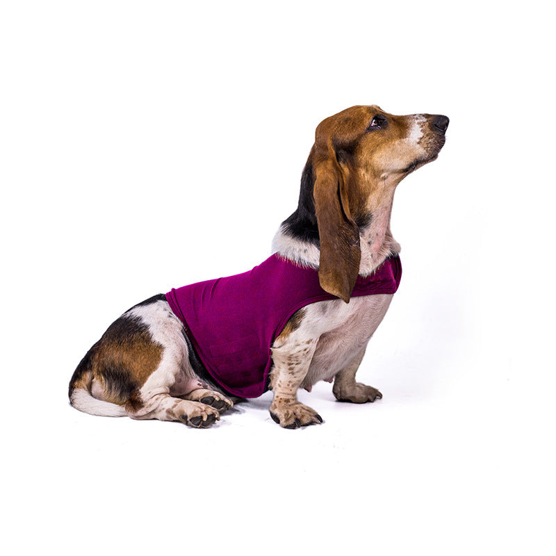 GraySnout Anxiety Relief Calming Jacket for Dogs